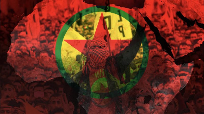 Güney Afrika’da PKK’yı Mandela ile aklamak