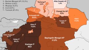 Xinjiang Geopolitics in the 21 century: BRI, the US alliance with terrorists and fake news