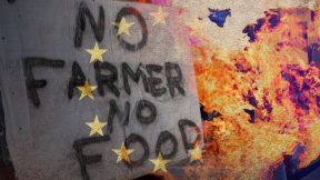 Europe’s sanctions weapon hits its own farmers